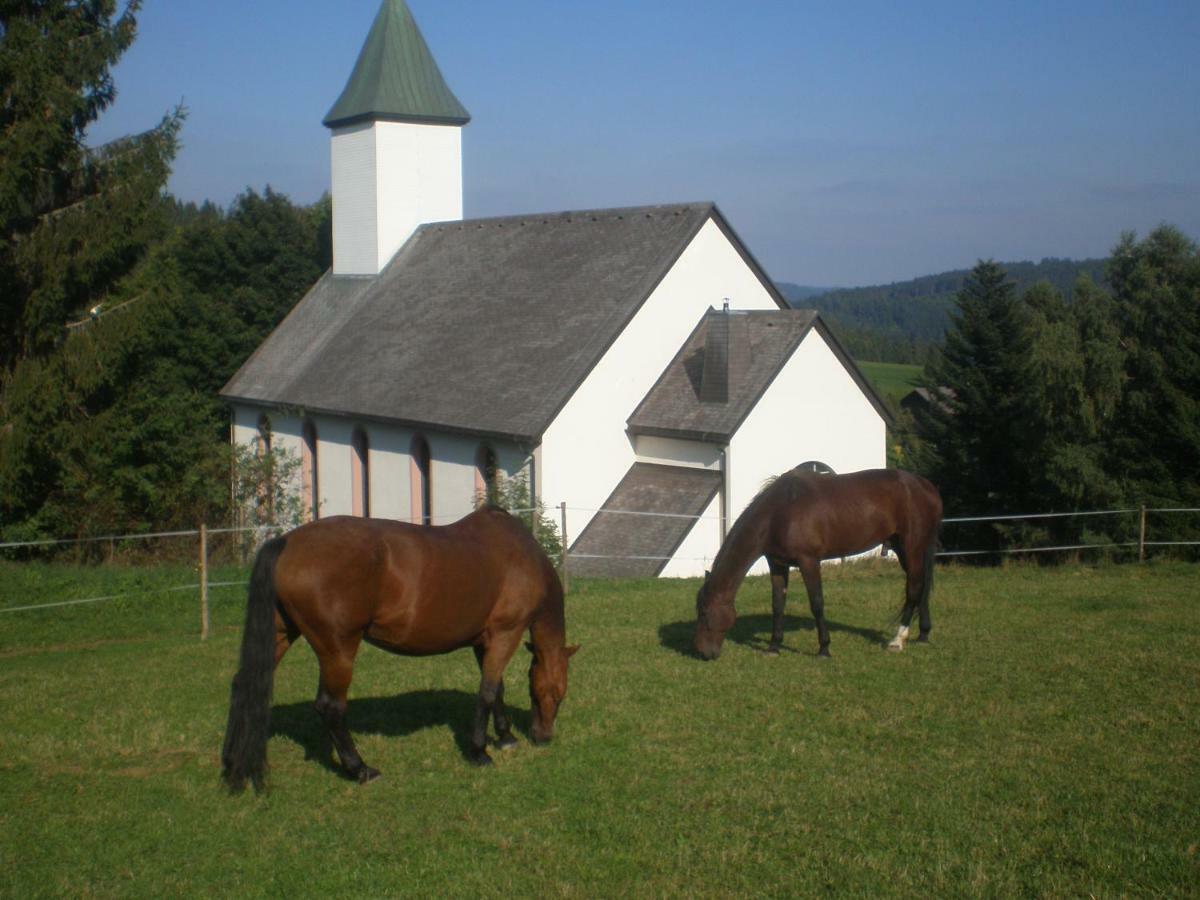 Apartmán Haus Ingeborg Dachsberg im Schwarzwald Exteriér fotografie
