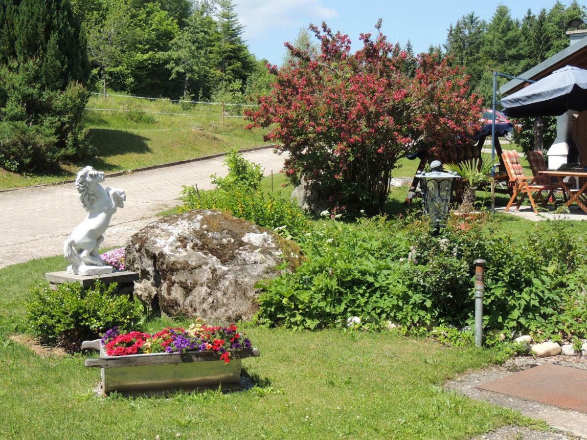 Apartmán Haus Ingeborg Dachsberg im Schwarzwald Exteriér fotografie